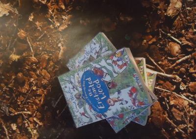 Enchanted Wood5